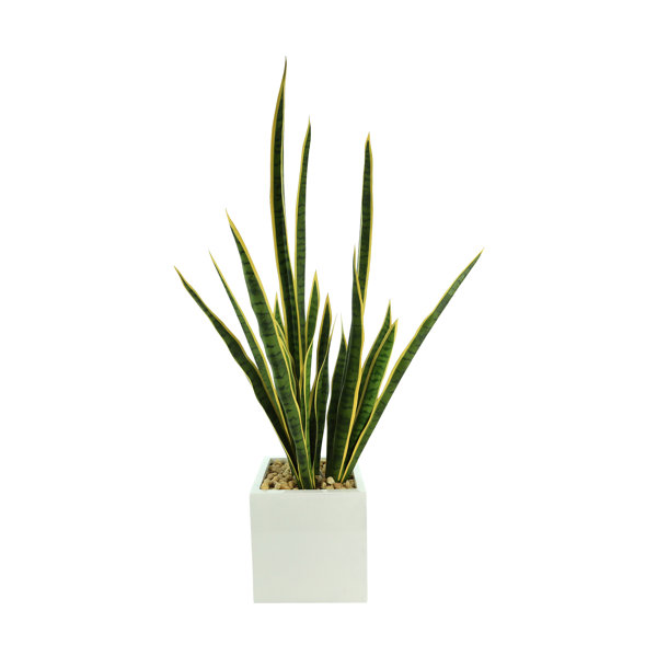 Primrue 45'' Faux Snake Plant Plant in Fiberstone Pot Wayfair